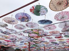 -祥源·阜阳生态乐园