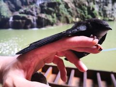 -英西峰林·洞天仙境