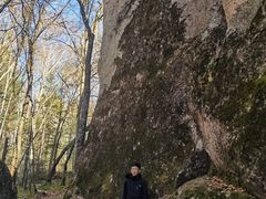 -汤旺河林海奇石景区