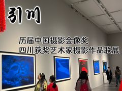 -四川美术馆