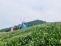 -东海半边山旅游度假区