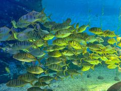 -泉城欧乐堡海洋极地世界