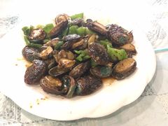 -华圆美食
