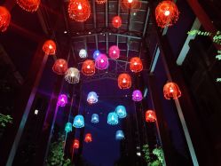 -杭州运河黄龙璀丽酒店-宴会厅