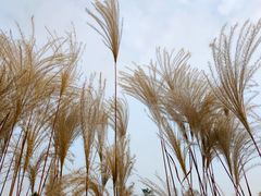 -南京市无想山景区