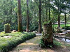 -苏州河梦清园环保主题公园