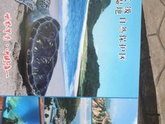 -广东惠东海龟国家级自然保护区