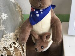 -PAWTOY爪e玩偶店(天兴罗斯福店)