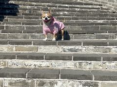 -何适山庄 ·可团建(水长城P2停车场店)