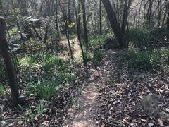 -上海佘山国家森林公园天马山园