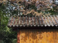 -重庆园博园
