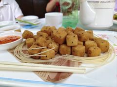 -华南师范大学石牌校区陶园