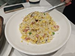 -丁老爷子苏香圆