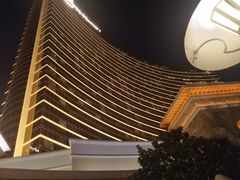 -拉斯维加斯永利酒店