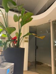 -柠檬一美·Ondapro·轻薄紧致抗衰中心