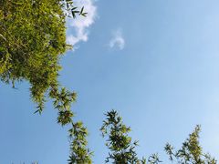 -夏河溪乡野公园