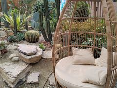 -桉树林A coffee 森林餐厅(三圣乡店)