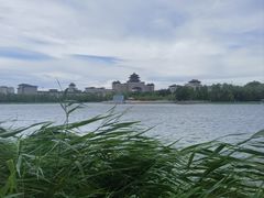 -莲花池公园