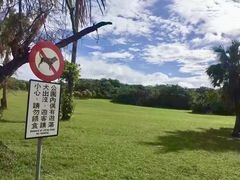 -鹅銮鼻公园
