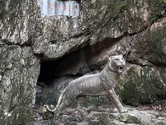 -虎跑公园