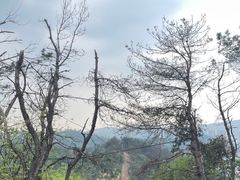 -青龙山国家森林公园