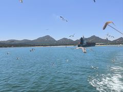 -海驴岛(荣成市)