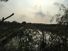 -同銮特种养殖场·龙虾垂钓