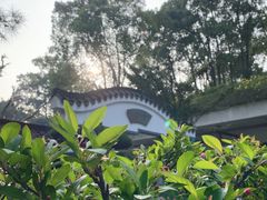 -南山植物园