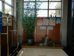-爱陪伴尊享月子中心(国际店)