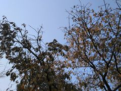 -贮水山儿童公园