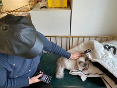 -喵喵咪呀布偶猫咖(春熙路店)