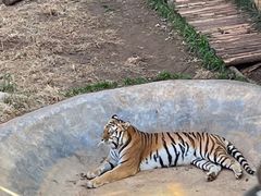-昆明动物园