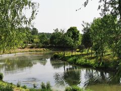 -东郊湿地公园