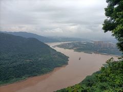 -铁山坪森林公园