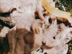 -乾山寿司(好运街店)