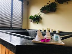 -春晖园度假酒店温泉