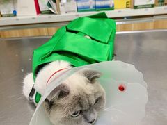 -康乐宝动物医院