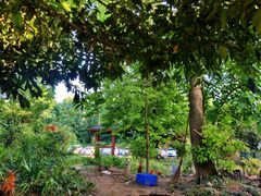 -铁山坪森林公园