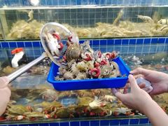 -仙螺岛海鲜自助餐厅(总店)