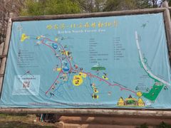 -哈尔滨北方森林动物园
