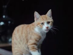 -美乐食街(小南店)