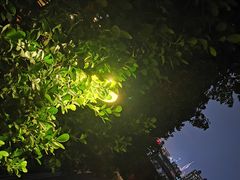 -喜洲吧·江畔老船厂·庭院餐厅(喜临院店)