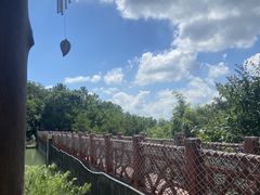 -广州白江湖森林公园