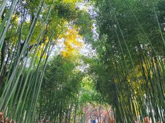 -长乐公园游乐场