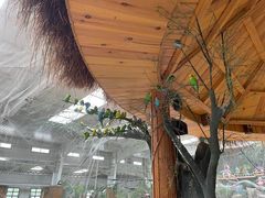 -南宫五洲植物乐园