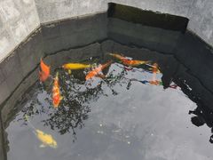 -西安市广仁寺