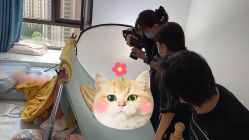 -西瓜庄园儿童摄影