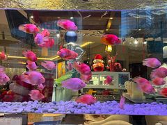 -怡咖啡海鲜自助餐厅(浦东香格里拉店)