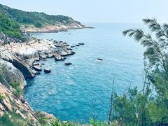 -广东惠东海龟国家级自然保护区