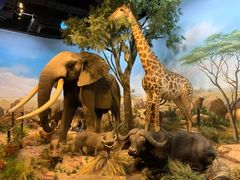 -陕西自然博物馆